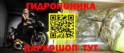 крисы Малоярославец