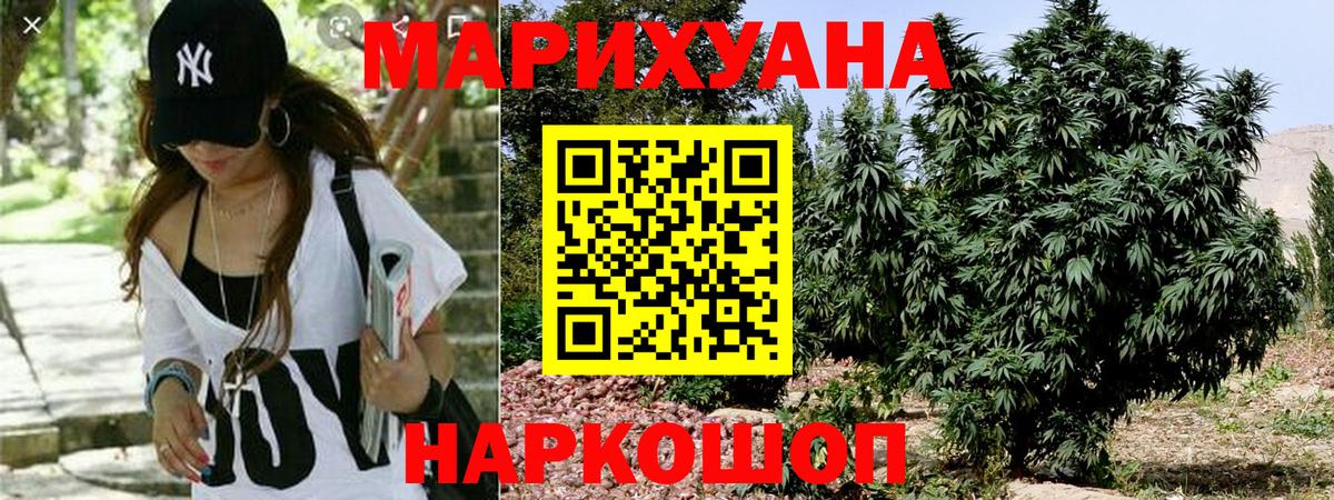 Канабис сатива Бузулук